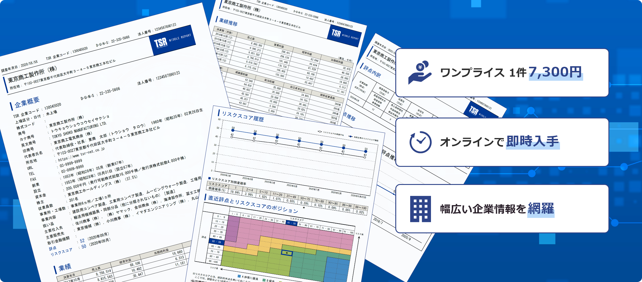 ミドルレポート（国内企業調査レポート）